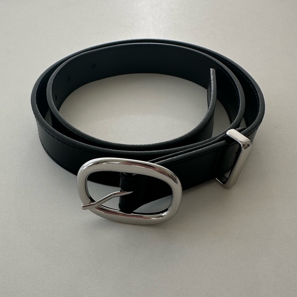 Aritzia Lifetime Solid Brass Leather Belt in Black